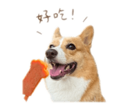 858823775