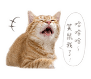 858824395