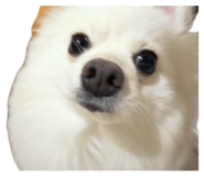 858825681
