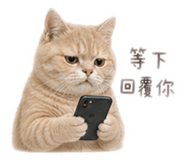 858825747