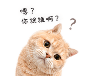858825749