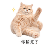 858825767