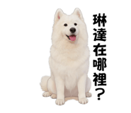 858827957