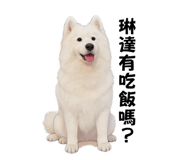 858827958
