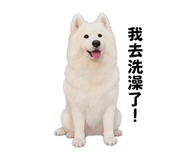858827959