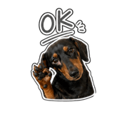 858828767