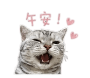 858830668
