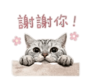 858830670