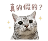 858830673