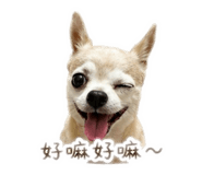 858833114