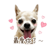 858833116