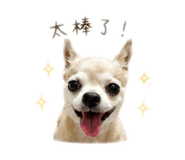 858833125