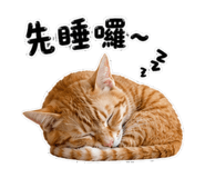 858834363