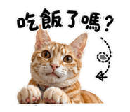 858834364