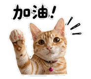 858834375