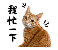 858834377