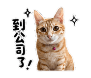 858834379