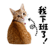 858834380
