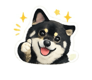 858834605