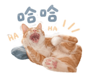 858837462