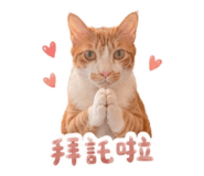 858837466