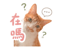 858837469