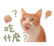 858837471