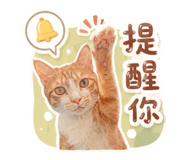858837481