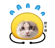 858838255