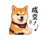 858839504
