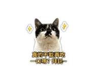 858840740