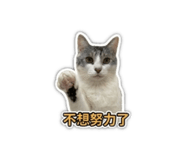 858840748