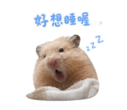 858841651