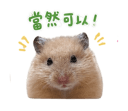 858841654