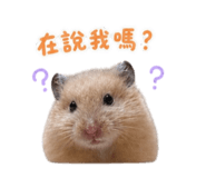 858841656
