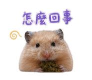 858841657