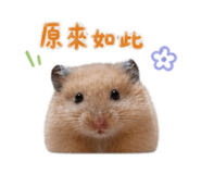858841662