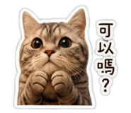 858841776