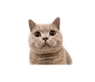 858842169