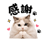 858842462