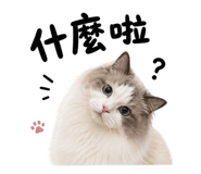 858842479