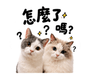 858842486