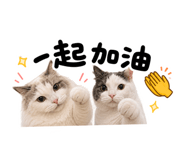 858842495