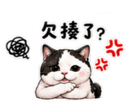 858842545