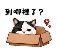858842560