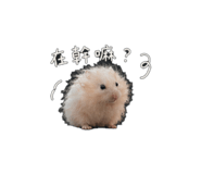 858842676