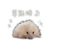 858842686