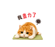 858842874