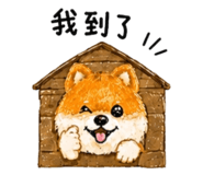 858842899