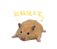 858842982
